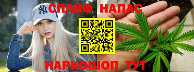 дживик Бийск