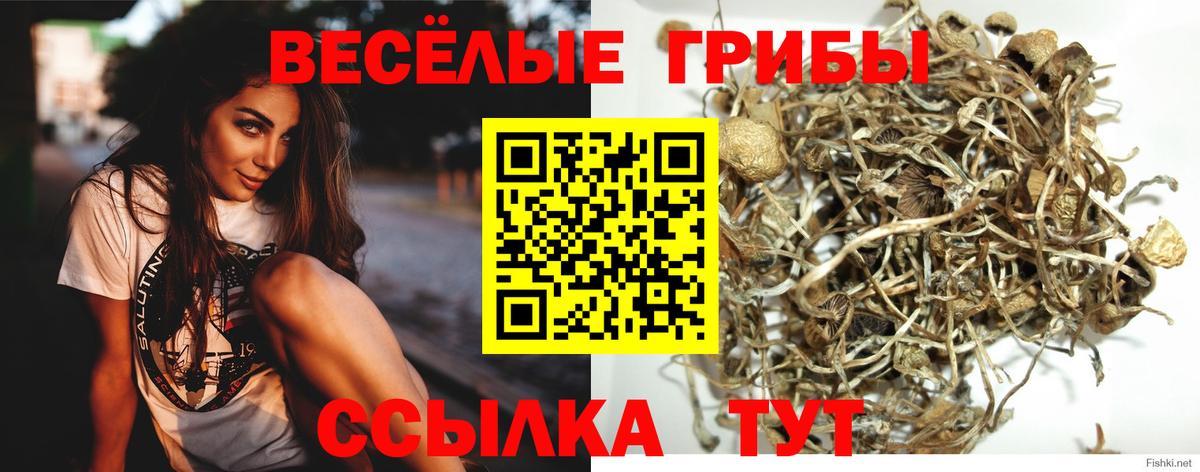 Псилоцибиновые грибы MAGIC MUSHROOMS Надым