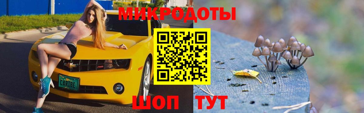 Псилоцибиновые грибы Psilocybe Надым